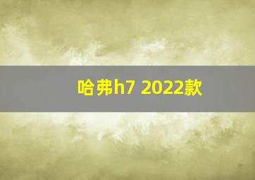 哈弗h7 2022款